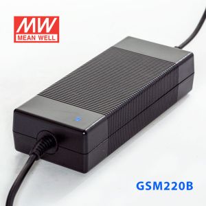 GSM220B15-R7B
