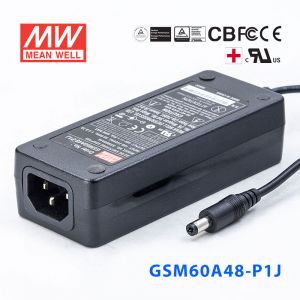 GSM60A48-P1J