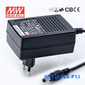 GST25E28-P1J