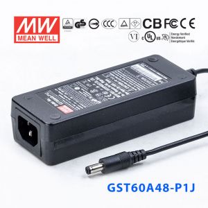 GST60A48-P1J