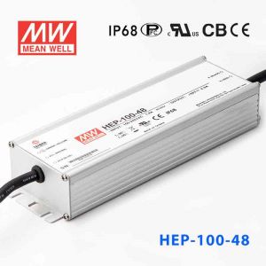 HEP-100-48
