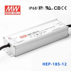 HEP-185-12